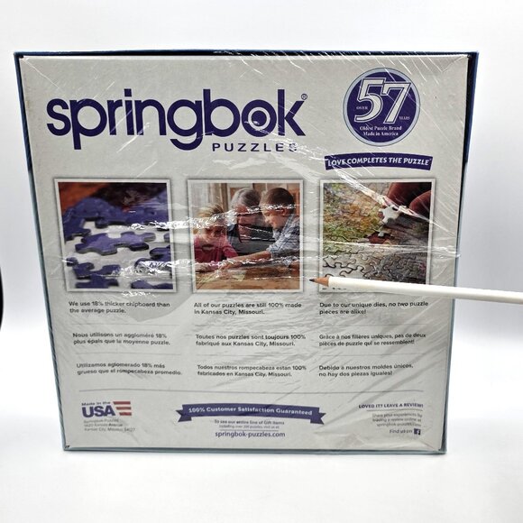 Springbok Groovy Records 1000 Pc Puzzle Doors, Pink Floyd, Hendrix, Led Zeppelin - Picture 8 of 8